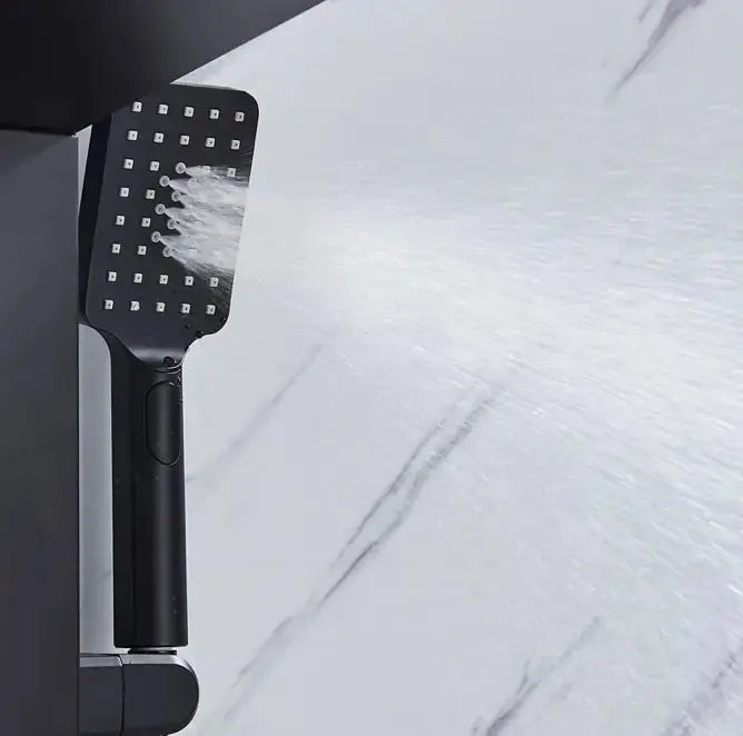 TWEEDEKANS ACTIE Douchepaneel Regendouche SaniSupreme® Capri mat zwart TK3 Sanisupreme