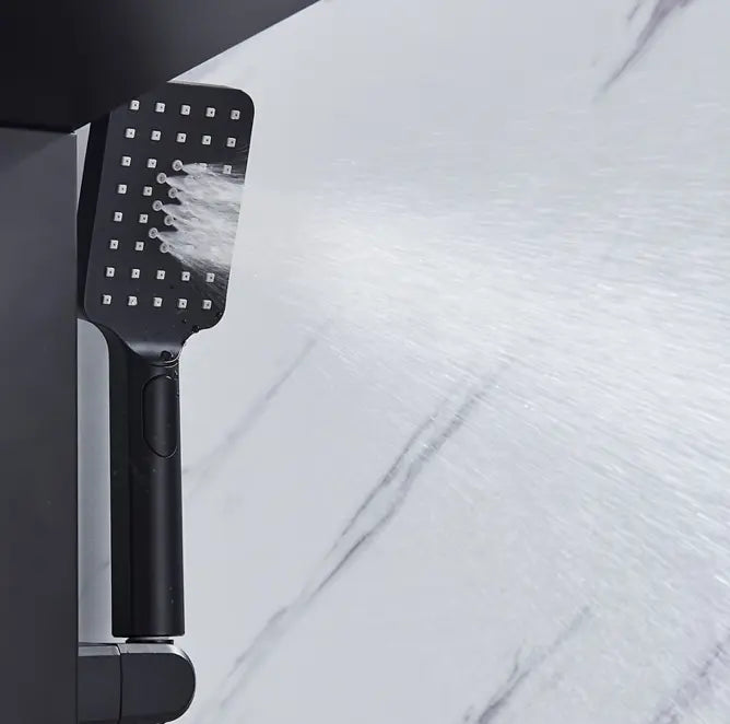 TWEEDEKANS Douchepaneel Regendouche SaniSupreme® Capri mat zwart TK3 Sanisupreme