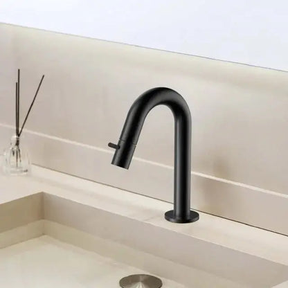 Laurus Line Aura fontein koudwaterkraan 18,9 cm Mat Zwart (PDV) SaniSupreme Sanisupreme