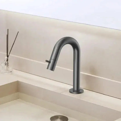 Laurus Line Lino fontein koudwaterkraan 18,9 cm GunMetal (PDV) SaniSupreme