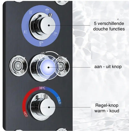 Douchepaneel Opbouwdouche SaniSupreme® Sicilie met hand - en voetendouche LCD Premium zilver brushed