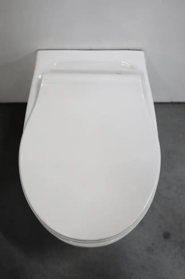 SaniSupreme Aloni Komplete Inbouw WC Set inclusief reservoir soft - close bril en bedieningingspaneel glans wit