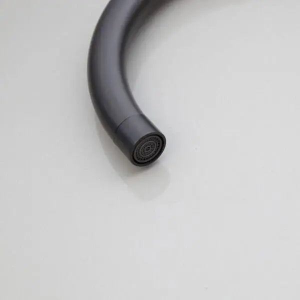 SaniSupreme Badkraan AquaVario® Gunmetal vrijstaand model met handdouche Gunmetal