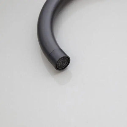 SaniSupreme Badkraan AquaVario® Gunmetal vrijstaand model met handdouche Gunmetal