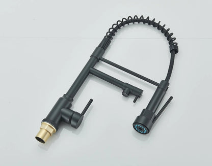 SaniSupreme Milan Keukenkraan met Sproeikop veer en extra uitloop mat zwart