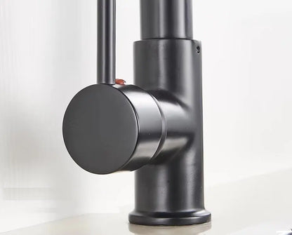 SaniSupreme Milan Keukenkraan met Sproeikop veer en extra uitloop mat zwart