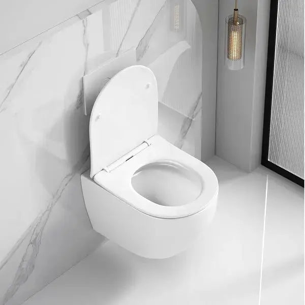 Sanisupreme Wandcloset Toilet Mechelen Mat Wit