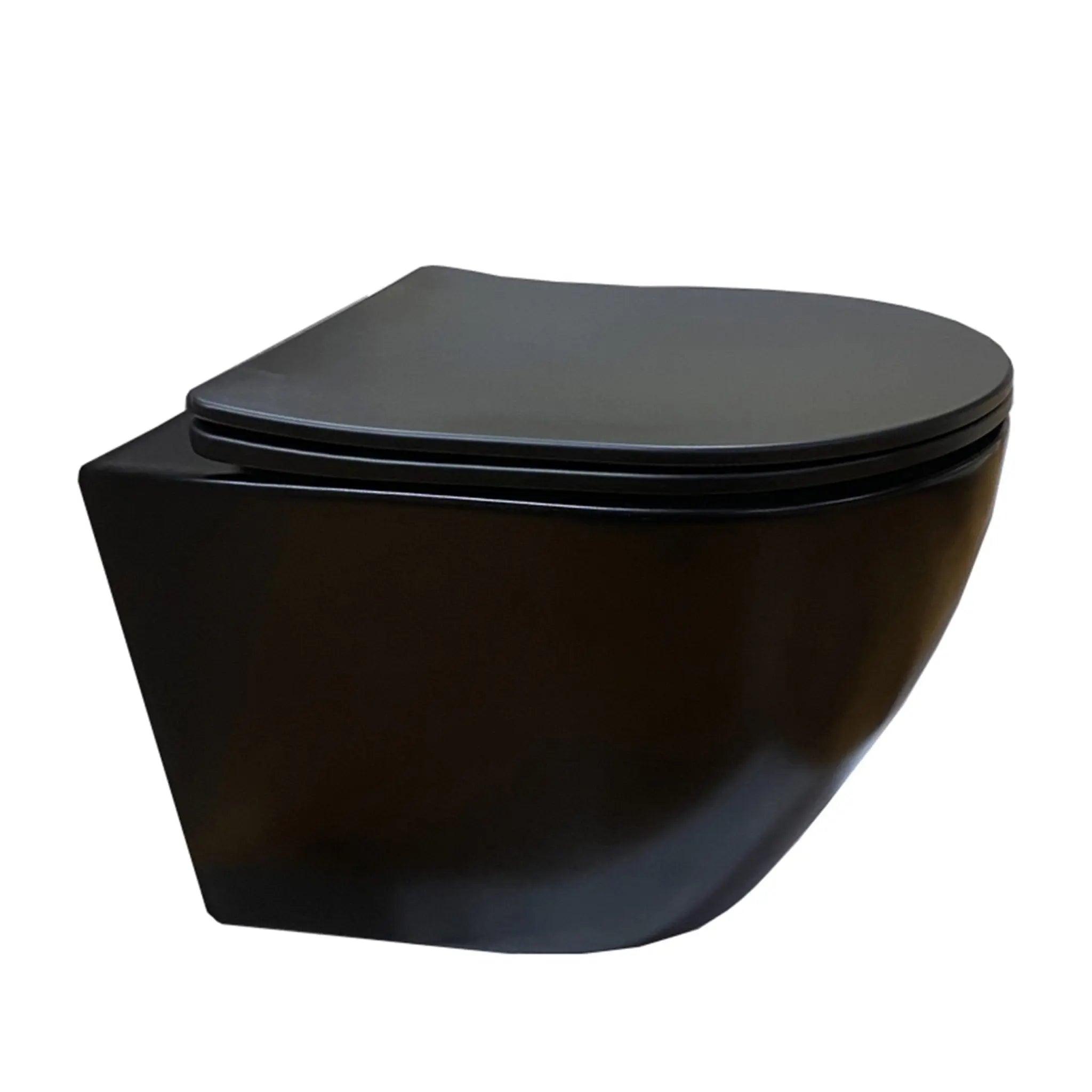 Sanisupreme Wandcloset Toilet Mechelen Mat Zwart