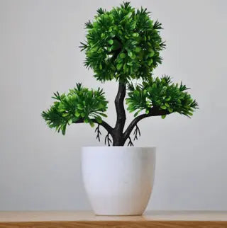 SaniSupreme Miniplantje Diverse type