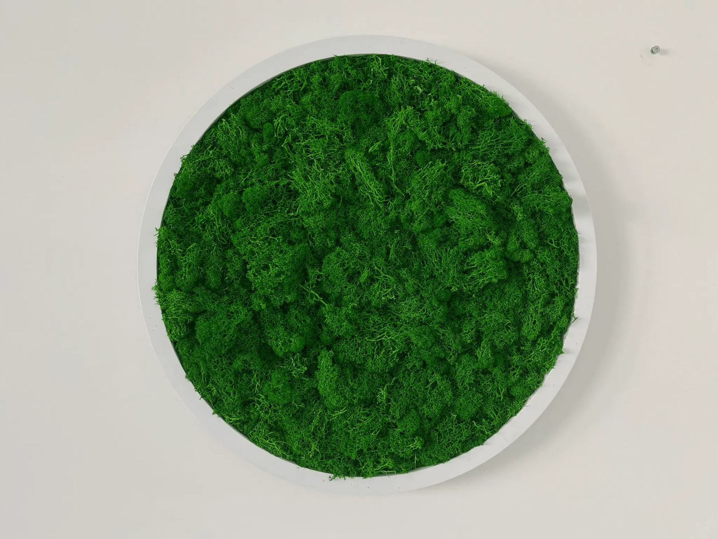 SaniSupreme Mosschilderij mosdecoratie rond witte kunsstof rand 53 cm. doorsnede