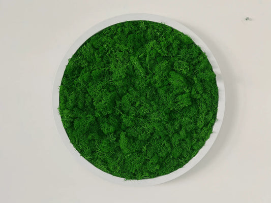 SaniSupreme Mosschilderij mosdecoratie rond witte kunsstof rand 53 cm. doorsnede