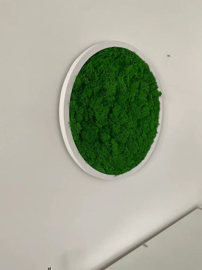 SaniSupreme Mosschilderij mosdecoratie rond witte kunsstof rand 53 cm. doorsnede