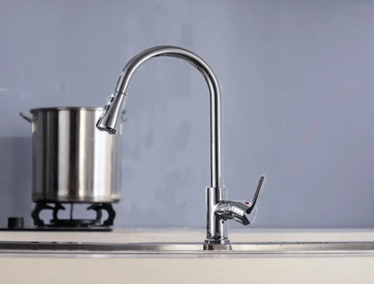 SaniSupreme thermostatische keukenkraan uittrekbaar Bologna gebogen chroom